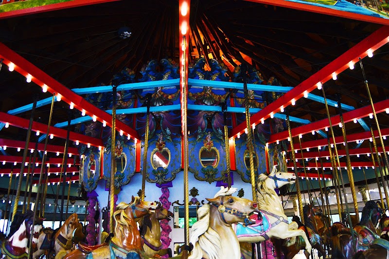 Forest Park Carousel Amusement Village