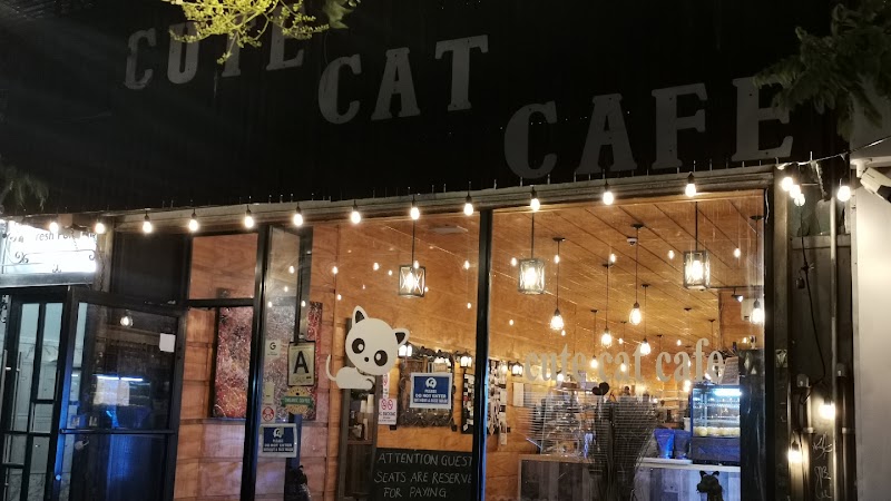 Cute Cafe