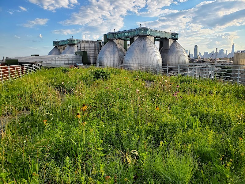 Kingsland Wildflowers Green Roof & Community Engagement Center