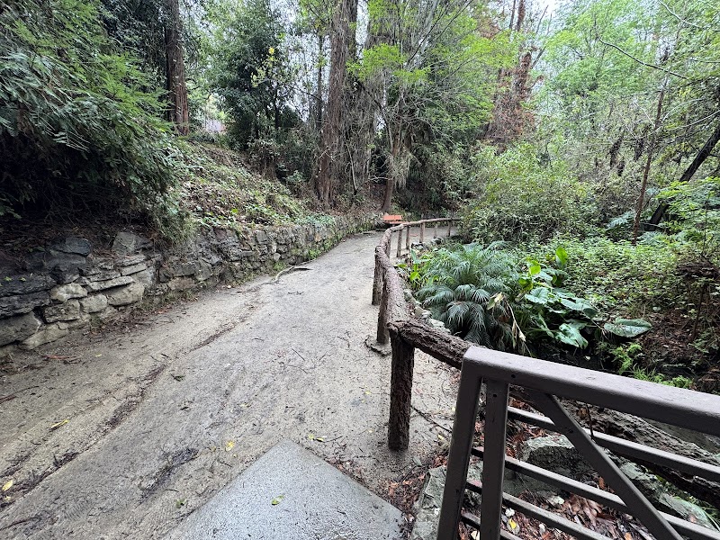 Fern Dell Nature Preserve