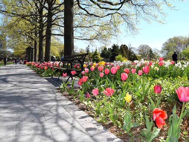 Queens Botanical Garden