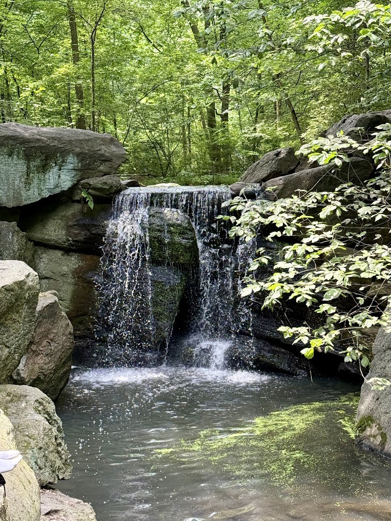 The Ravine
