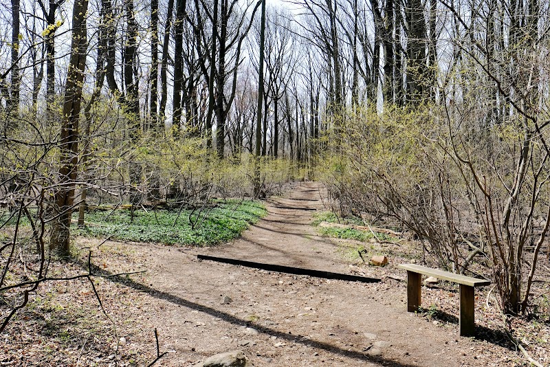 Latourette Park