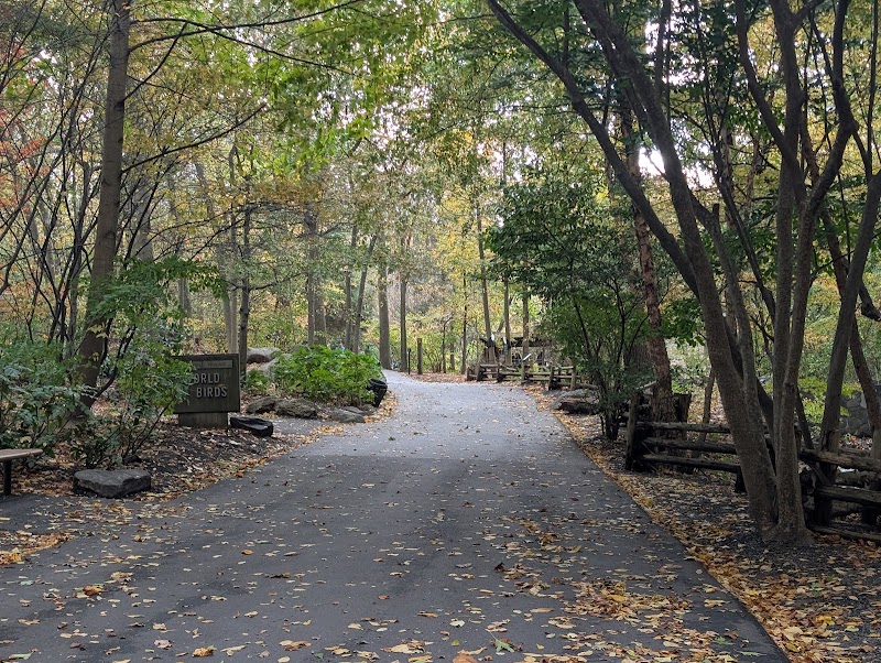 Bronx Park