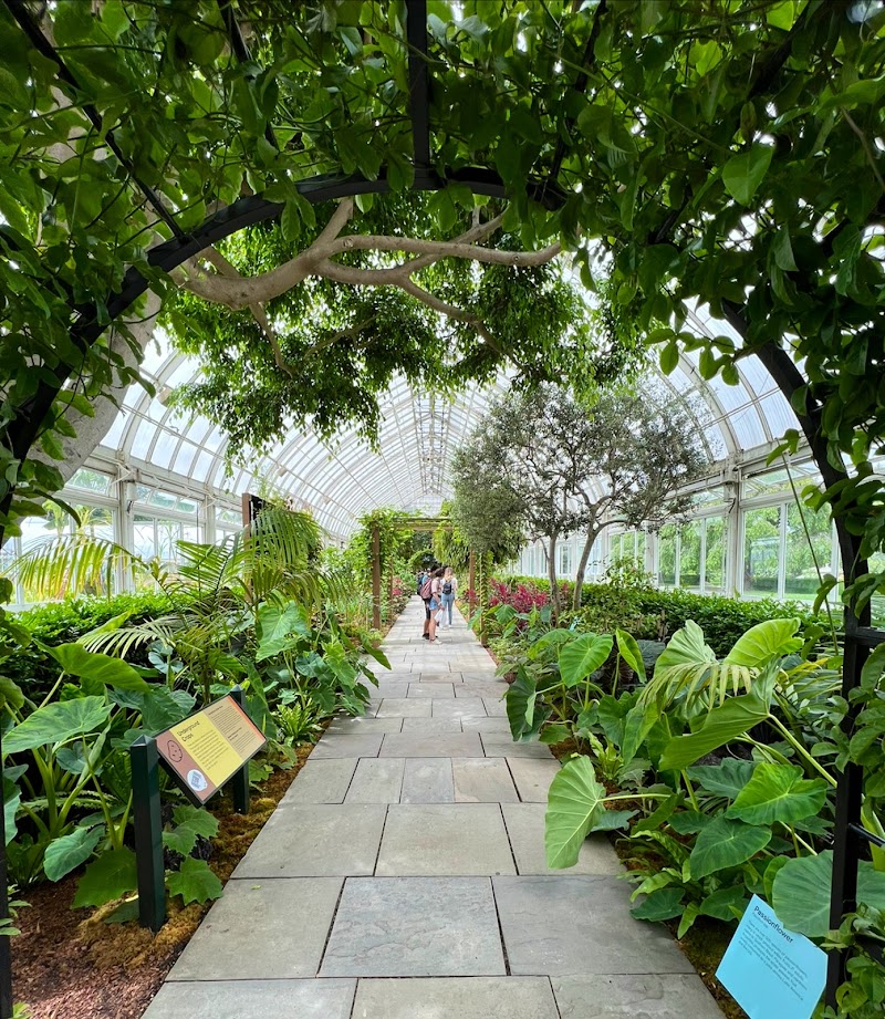 Enid A. Haupt Conservatory, NYBG