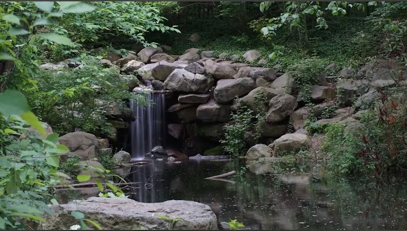 Ravine