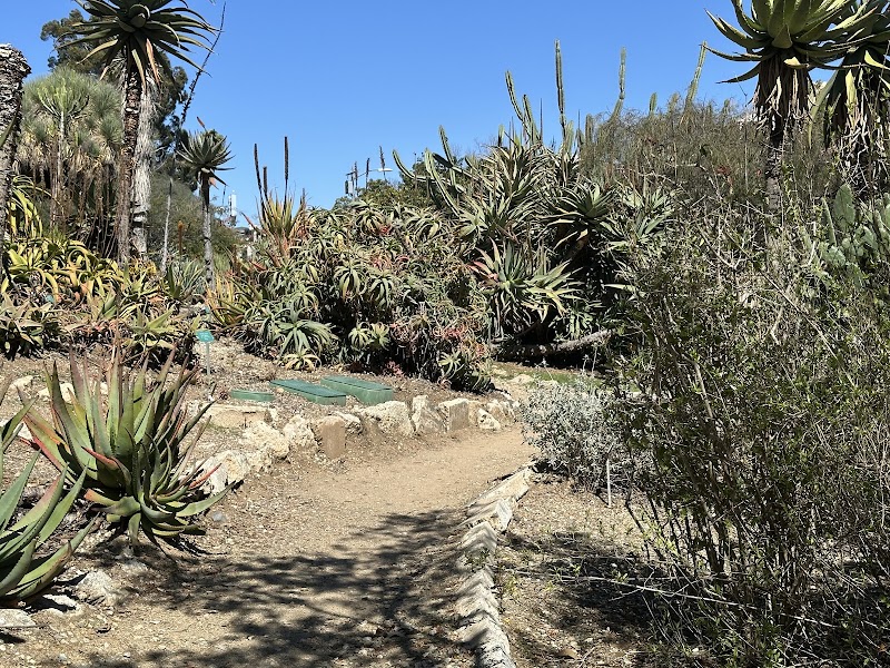 UCLA Mathias Botanical Garden