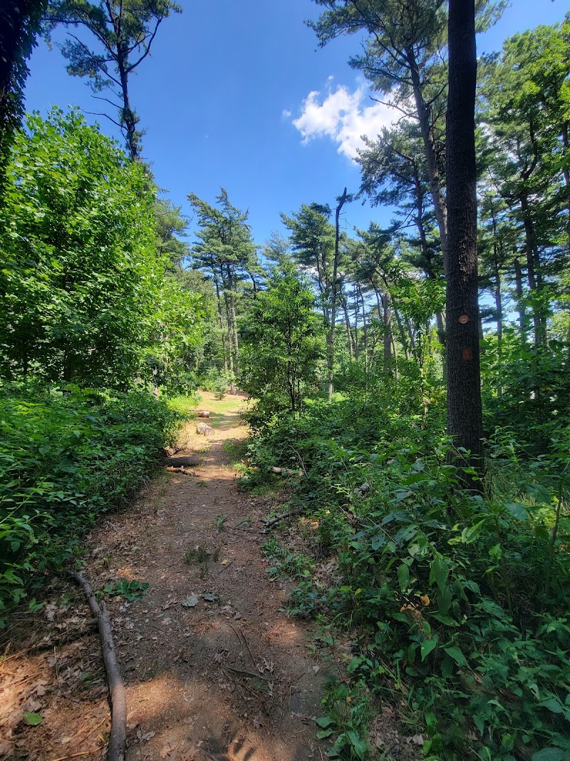 Forest Park Hiking Trails