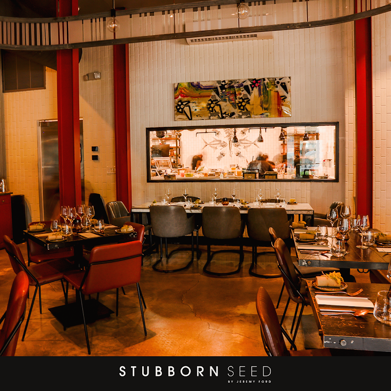 Stubborn Seed - Miami Beach