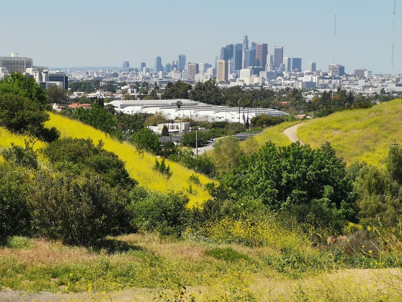 Ascot Hills Park
