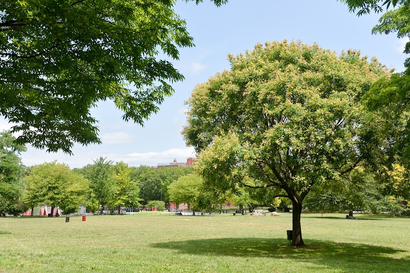 Soundview Park