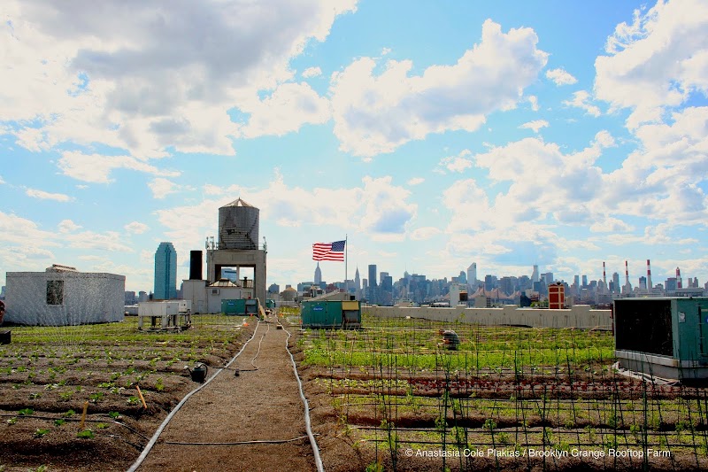 Sky Farm LIC by Variety Boys and Girls Club of Queens